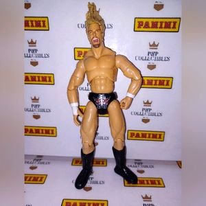 Triple H 🔥 WWE Wrestling Action Figure Toy